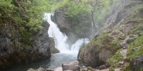 IMG-3d16e54443efe7209e9353ddaf064f39-V